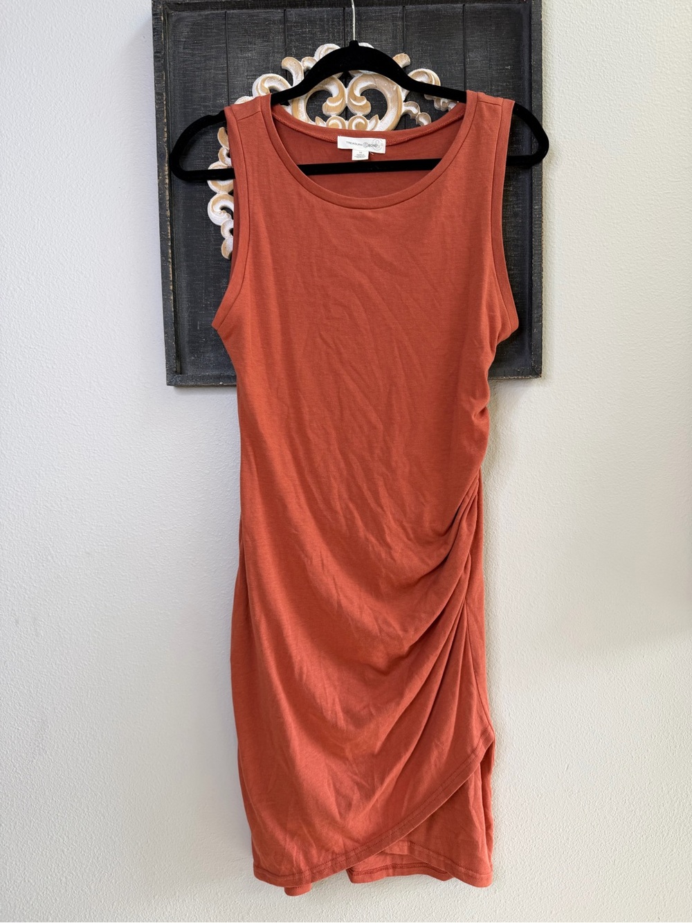 Treasure & Bond Sleeveless Rust Mini Dress with Side Ruching